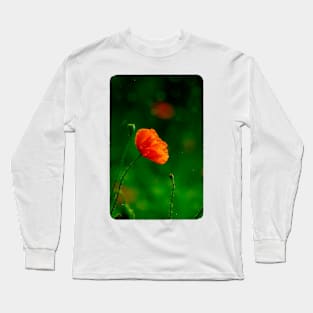 Scarlet Poppy Long Sleeve T-Shirt